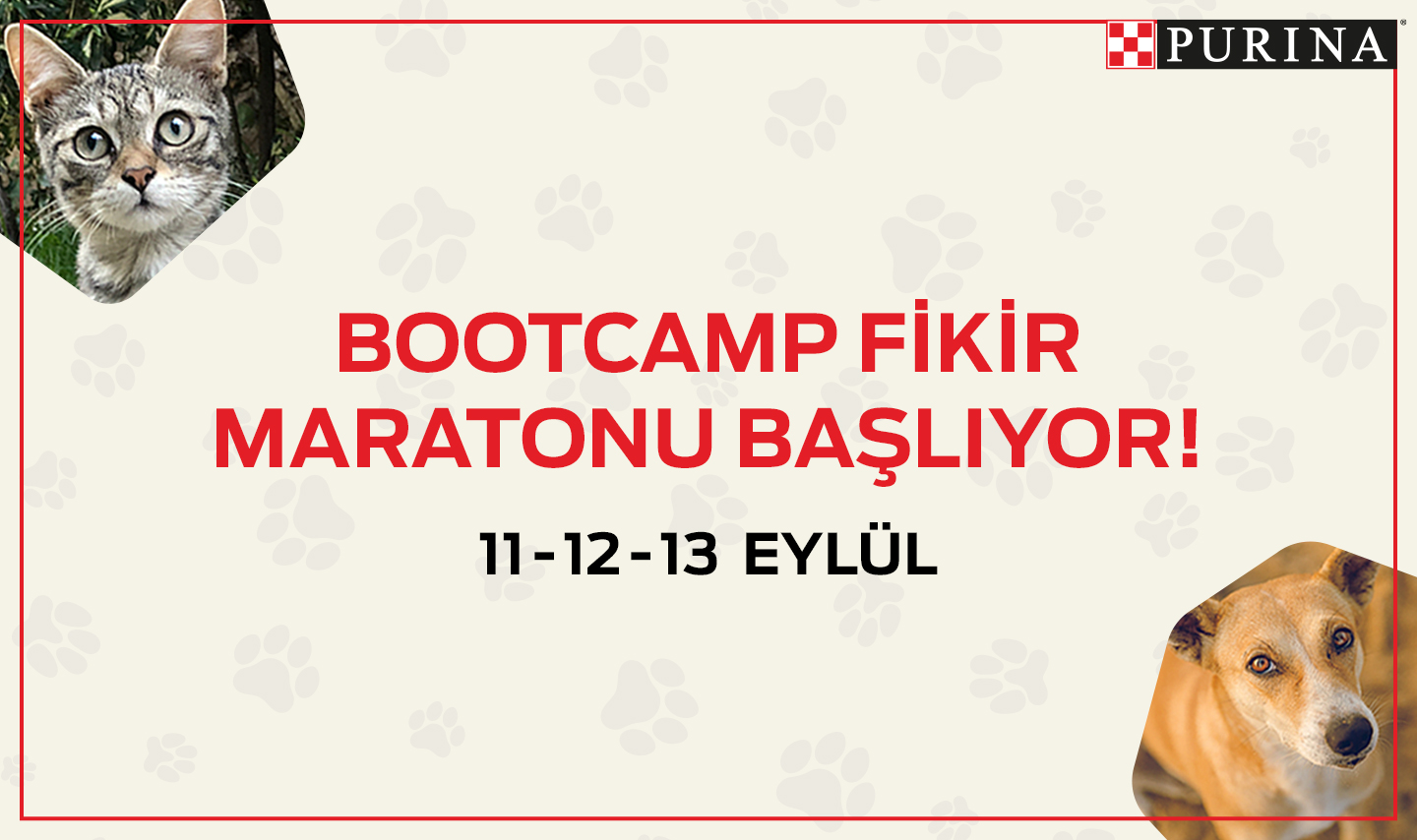 bootcamp_banner