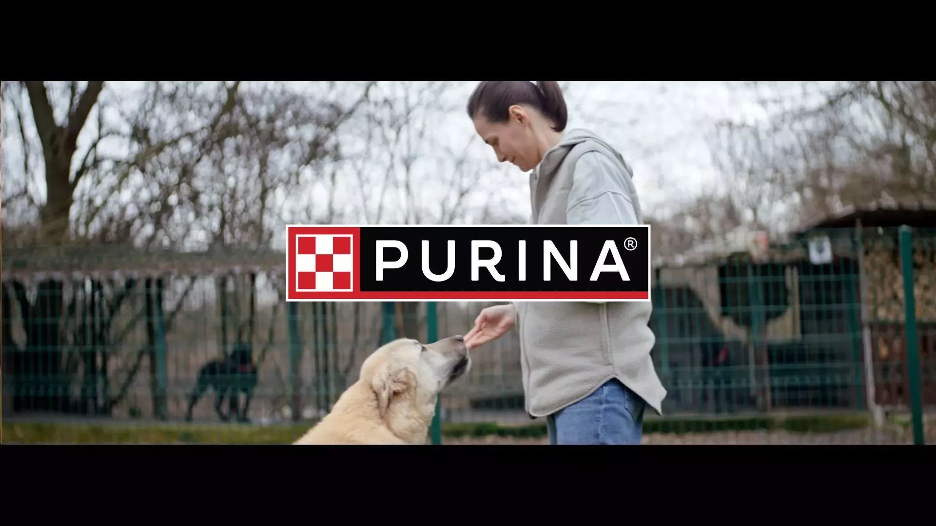 PURİNA