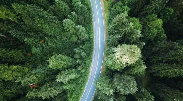 orman arasından geçen yol