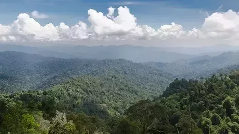 iklim