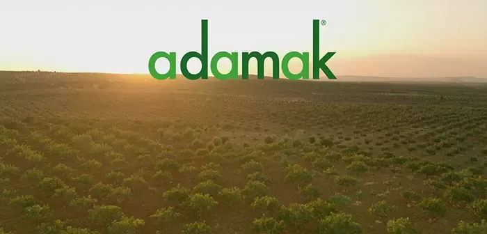 Adamak Hikayesi