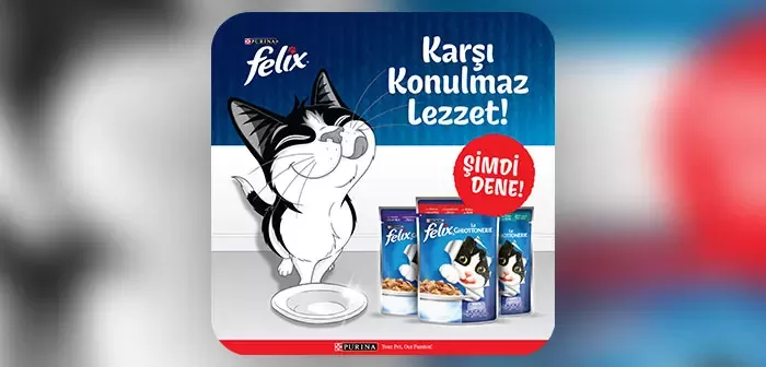 nestle-felix