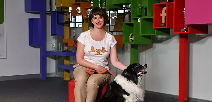 nestle_bulten_purina