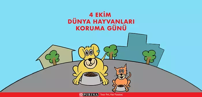 nestle_bulten_purina_2