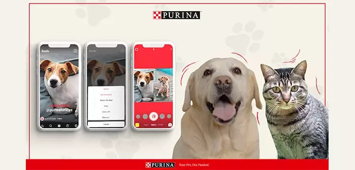 Purina1