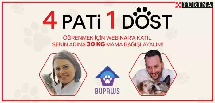 purina11