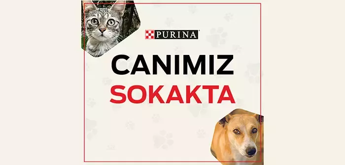 Purina2